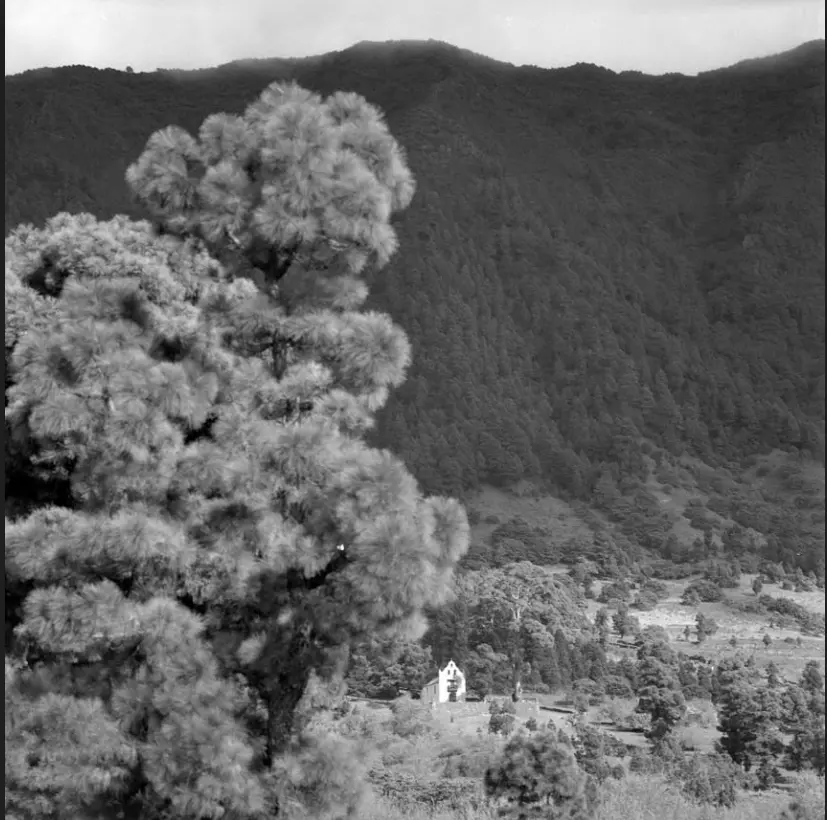 Ermita de la Virgen del Pino